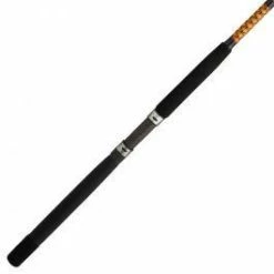 Ugly Stik Bigwater Conventional Rods